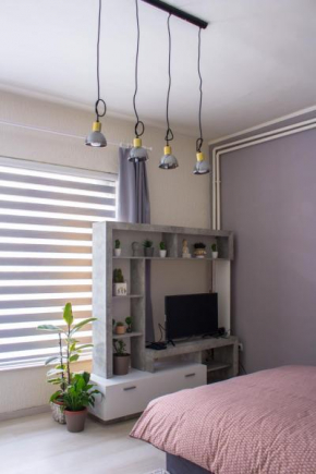 BB Downtown Apartment